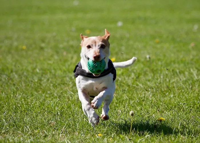Ferienhaus Casa Vaqueiro Vv-1727-as Llanes